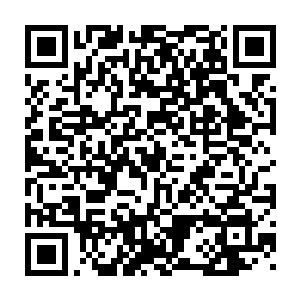 她也只是在某个你无法理解的更高位存在的指示下执行了这一行为而已二维码生成
