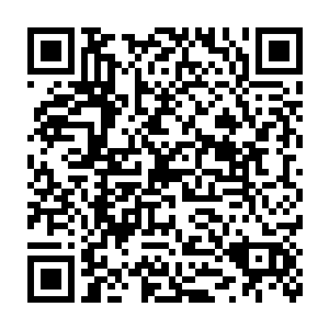 她也许不会那么走红……如果我为你做出和玛丽莲一样的法令纹的话二维码生成