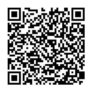 她们二阶武宗的实力一旦进入第三界就将无法支撑住任何一场来自灵兽的攻击二维码生成