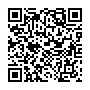 她们养的三皇子五皇子在秦钰离开后这段日子没敢做什么二维码生成