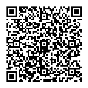 她们绝对是不会相信燕山魂会在琴棋书画上赢得了她们她们认为许紫烟这就是在故意羞辱她们二维码生成