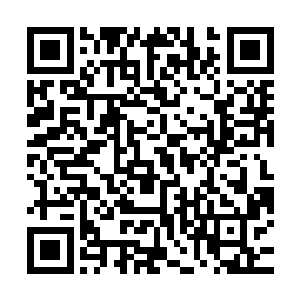 她们肯定打不过萧强带着的这十位女将和门口守着的上百位守卫二维码生成