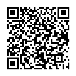 她们都在不问缘由地用实际行动给予刘馨婷最大的生杀自由二维码生成