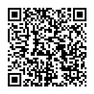 她会花几个月甚至几年去为颜清炼制一枚可以提升修为的药丸……二维码生成