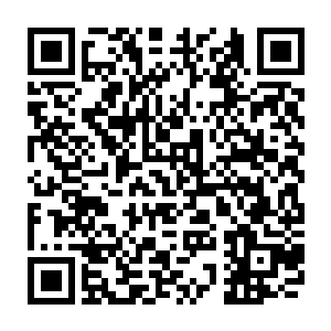 她几乎是下意识的张牙舞爪的向着陆宇扑过去的……可不是什么投怀送抱二维码生成