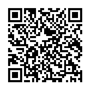 她压根就不稀罕他的游戏人生却自以为放荡不羁的人生理念二维码生成