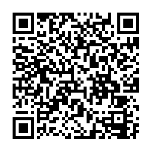 她又如何对得起这些西楚栋梁的一次次动辄数百人共同慷慨赴死的壮举二维码生成