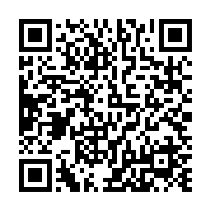 她可不信只是因为荒无极的一句话便让北璃陌投鼠忌器了二维码生成