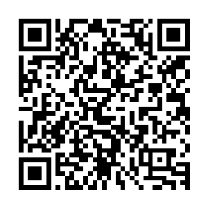 她可以很明确地感受到对方在抑制病菌和病毒增长这方面的造诣二维码生成