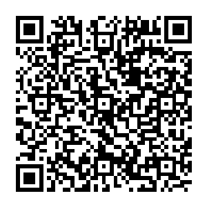 她可以选择性的将在任务世界中学习的有用知识转化成自己的永久性记忆存放在识海中了二维码生成