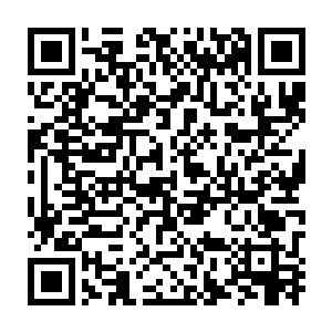 她和他衣服摩擦的细小声音在这空空荡荡的会议室里显得有些大声二维码生成