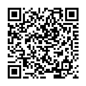 她和伊莉莎的行李箱还寄存在昨天晚上住的宾馆服务台二维码生成