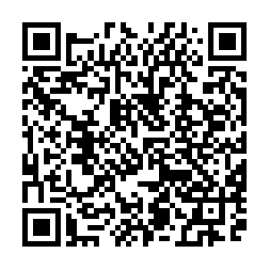 她在小说里长篇累牍地描写了凯特尼斯是怎么通过服装和妆容的改变取得人气二维码生成