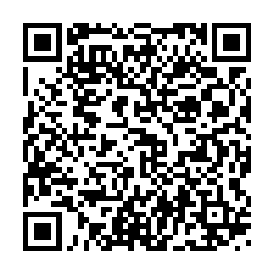 她在舞会上穿的极尽华美的礼服都是艾莉莎用自己的魔法画出来的二维码生成