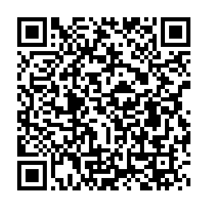 她就准备使用几个瞬发的法术好好教训教训这个妄图反客为主的家伙二维码生成