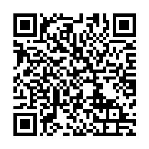 她就是我的一切我实在不知道该用什么来表达我对您的感激二维码生成