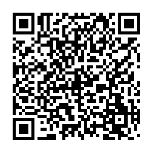 她已经在人生最好的年代经历过了世界的精华――如果你想让她承认二维码生成