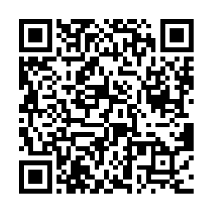 她平生第一次对男人动手――往秦林头上敲了个爆栗二维码生成