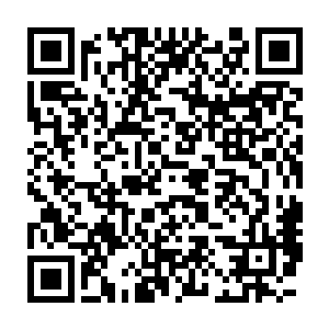 她开始轻微地为切萨雷感到难过――这不是她第一次有类似的感觉二维码生成