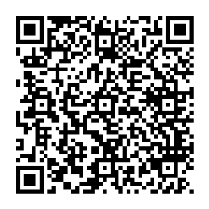 她微微一笑从她旁边桌上一个精致的箱子里拿出了一个红色锦缎上面用金线绣着牡丹的盒子二维码生成