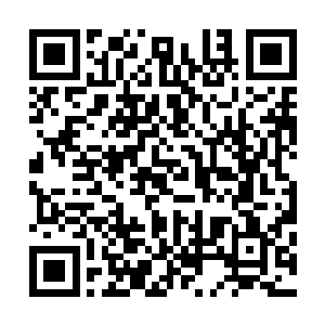 她心中是计划好带青珠登上方舟……但目的是用来制衡叶青二维码生成