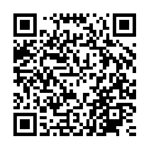 她怎么也会不相信小王爷会把这样的脏兮兮的乞丐招进来做丫环二维码生成