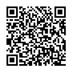 她怎么闻不出什么味道……反倒是觉得和他一起生活了一段时间二维码生成