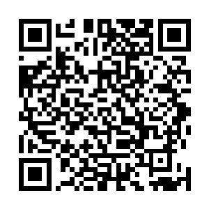 她想问的是飞星会不会恼羞成怒之下把他们都给收拾掉了二维码生成