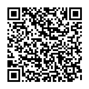 她推测出白少宁已死……可是当真正看到那躺在冰棺里一动不动的白少宁时二维码生成