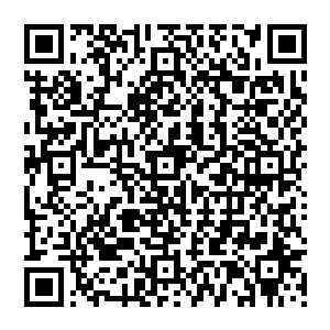 她是切萨以前的未婚妻――我和她是那种可以很久不联系也不会觉得生疏的朋友――她要结婚了二维码生成