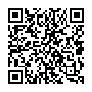她是真的不想再跟林寻鹤那样会精打细算的人物有任何纠结了二维码生成