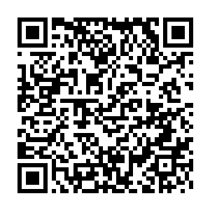 她最中意的兽皮就一张两米多长一米多宽白色的软的如同羊皮的兽皮二维码生成