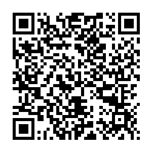 她没有办法做到看着自己的爱人去和一个实力悬殊的对手展开生死之战二维码生成
