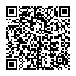 她清澈的大眼睛中满是惊恐和不敢置信的望着眼前的自家公主殿下二维码生成