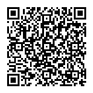 她率领的晋云国的飞艇部队要配合塞尔内斯战区的左翼军团完成一个大规模的地面军事行动二维码生成