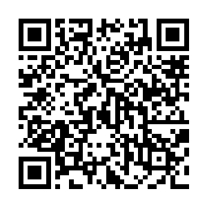 她现在仗着掌门对她的宠爱颇有些不把别人放在眼里的意思二维码生成