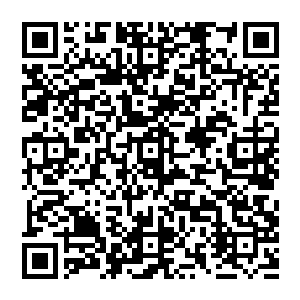 她的业务是整个明湖文化的经纪部在共同管理――黄文娟反倒是作为四大美人乐队和李谦经纪人的层面大一点二维码生成