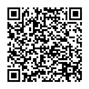 她的五气平衡灵池在过去就给叶青五德灵池全面压制和时刻帮助疏导失衡二维码生成