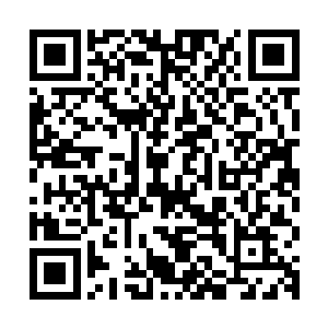 她的全部计划当然不止是我们眼前看到的这些因为现在这些计划二维码生成