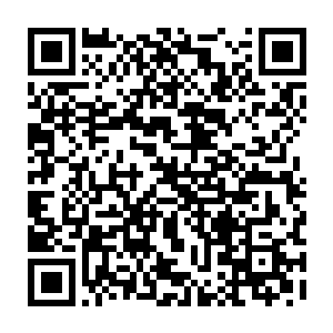 她的恋爱对象是杜有恒――王一男高薪请来的海归游戏策划师和动作设计师二维码生成