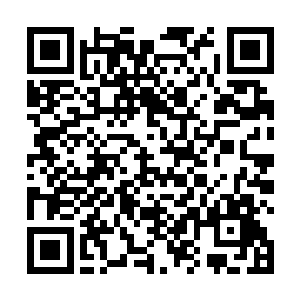 她的灵根深处不知何时多了一颗小小的果实般的颗粒子二维码生成