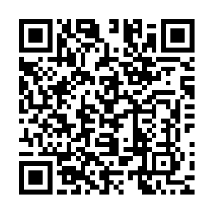 她的眼前仿佛出现了数十亿修士被无穷无尽的荒兽吞噬的景象二维码生成