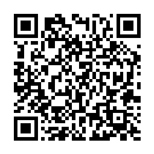 她的确有吴梦溪和叶明静这样可以随时商量的可信任同伴二维码生成