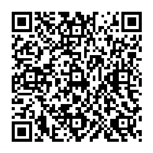 她看到了里头的秘书们每个人的桌面上都放着一个唐亦森给她的那种一模一样的精美盒子二维码生成