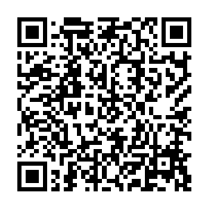 她真的找不到自己有任何理由和借口去救一个几次三番陷害和出卖她的人二维码生成