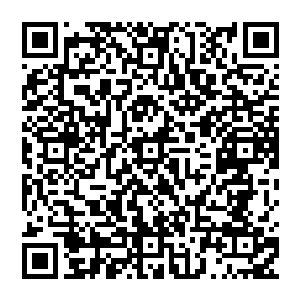 她确实是有点搞不明白眼前的这位年轻的少爷到底是怎么把老婆们可以和平共处的聚在一起的二维码生成