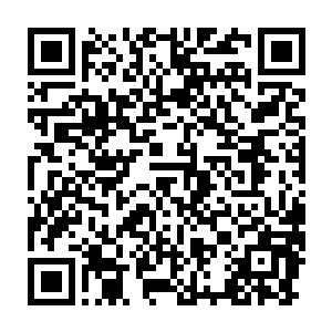 她积攒的积分丹以后都是要用作自己的掌控世界的最初运行的基础能量二维码生成