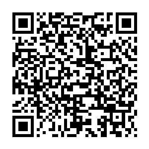 她觉得他们完全就是一种不尊重自己的生命和生存权利的傻冒……二维码生成