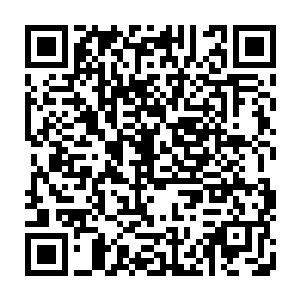 她觉得这些肯定要做的小事在没做之前其实没有什么必要知会流墨墨她们的二维码生成