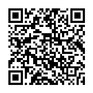 她还专门从自己的收藏品里扒拉出两颗圆滚滚的珍珠二维码生成